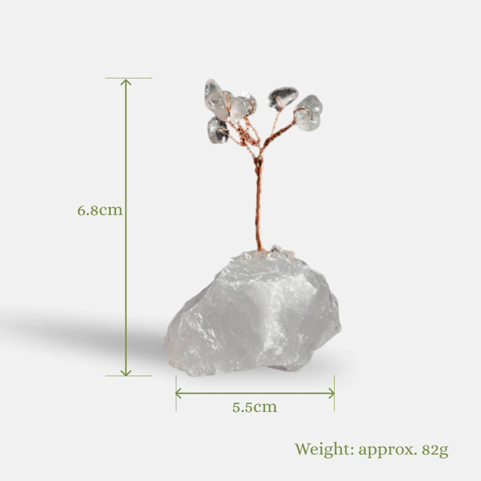 Pure Cosmic Channel – Clear Quartz Crystal Tree on Clear Quartz Base