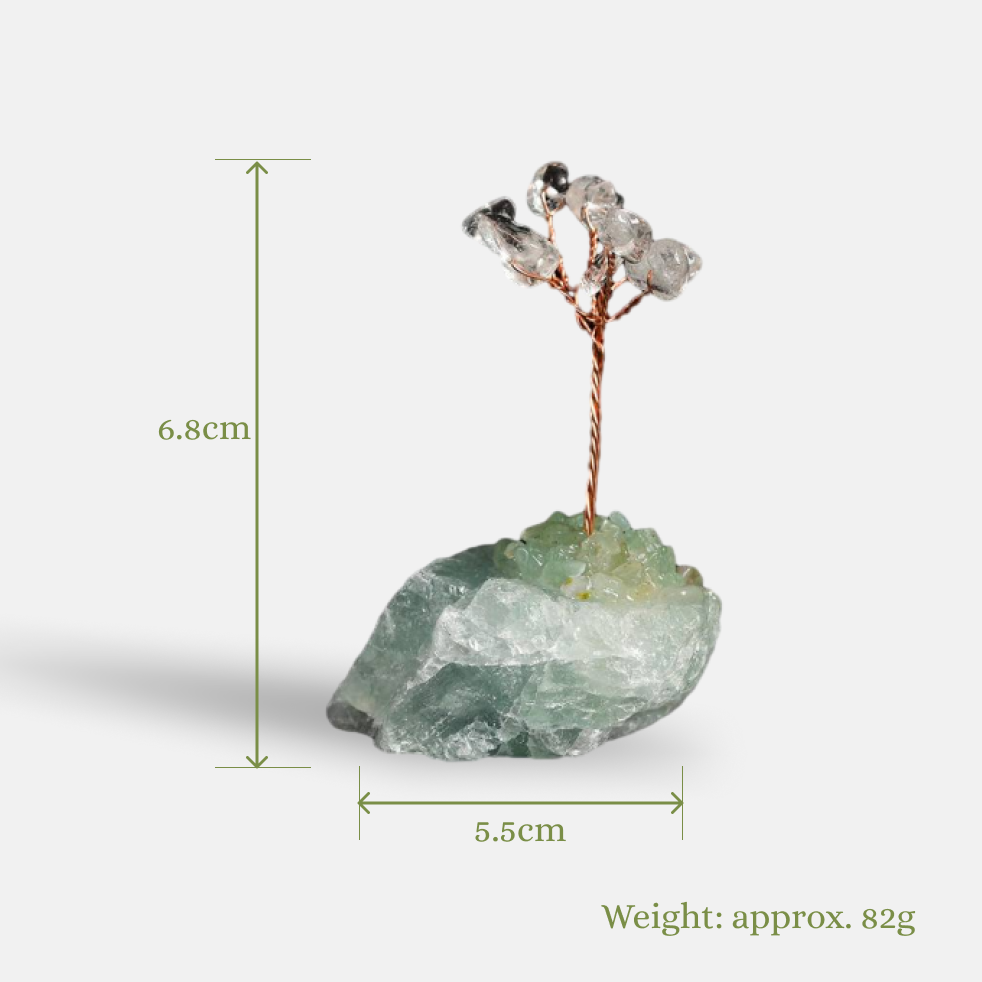 Clarity Illuminated – Clear Quartz Crystal Tree on Fluorite Base